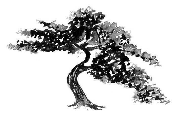 Ink painting of a bonsai tree